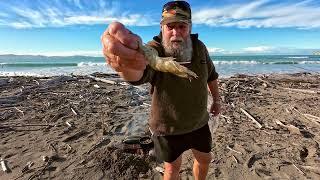 Beach Cook, Gisborne New Zealand 4K