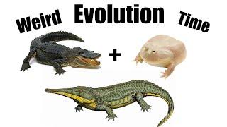 How Evolution Made Toads Behave like Crocodiles