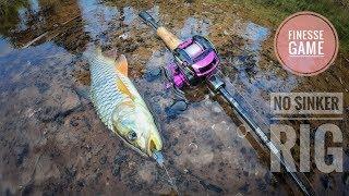 #EsanFinesseFishing #EFF Abu LTZ BFC930PRO Vs Hampala barb  EFF EP.4