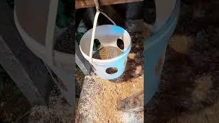 В одном видео ответы на все вопросы о приусадебном птичнике!#мояжизнь #дела #деревня