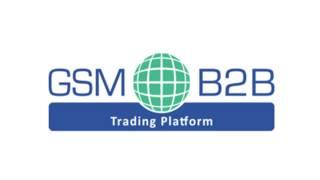 GSM-B2B Presentation