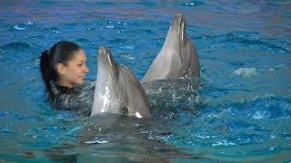 Niezwykly Swiat - Ukraina - Truskawiec - Delfinarium