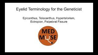 Eyelid Terminology for the Geneticist