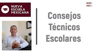 Lineamientos Organización y Funcionamiento de los Consejos Técnicos Escolares