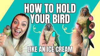 How to TAME Your Bird and Train Them to Come to Your Hand ️