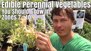 Edible Perennial Vegetables You Should Grow In Your Zone 7-10 Garden