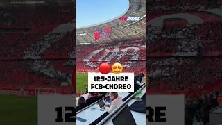  125 Jahre FC Bayern: Mega-Choreo in der Allianz Arena #fcbayern #bayernmunich