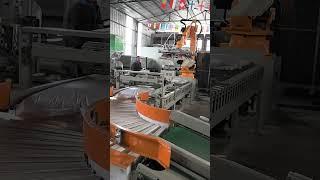 20kg plastic granule bag conveying and palletizing system