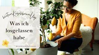 Ordnung im Frühling: Was gehen darf & was bleibt | AUSMISTEN & Umtopfen 🪴 Zitronenbaum