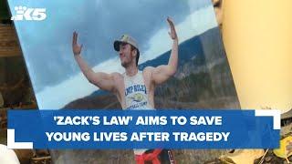 'Zack's Law' proposal hopes to save young lives after family's tragedy