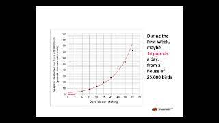 Estimating Routine Poultry Mortality Masses Based on Systems Operation