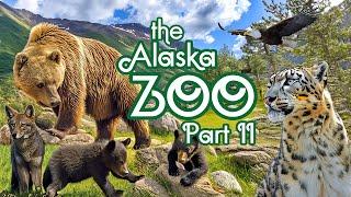 The Alaska Zoo Tour Part II | Ep. 31