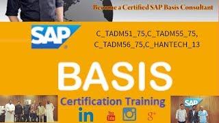 SAP BASIS-S/4 HANA Administration|How to Apply the SAP SNOTES|Patchs|SP||SPS |FPS| EHP|Add-on|PART-9