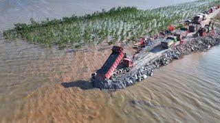 GLOBALink | Racing against time to combat dike breach in China's second-largest freshwater lake