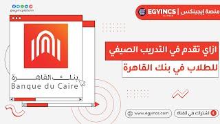 ازاي تقدم للتدريب الصيفي في بنك القاهرة لعام 2024 Banque du Caire BDC Summer Internship program