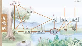 108選生四 2-4生態系_1非生物因子與生物因子