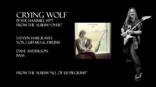 Crying Wolf - Peter Hammill (Cover version by Steven Hargraves)