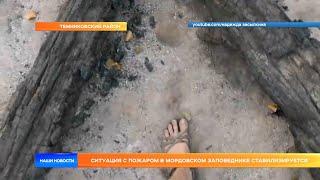 Ситуация с пожаром в Мордовском заповеднике