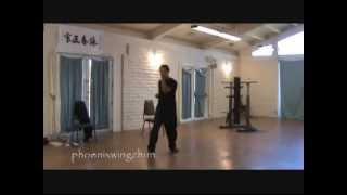 Sifu Samuel Kwok Demonstrating Chum Kiu