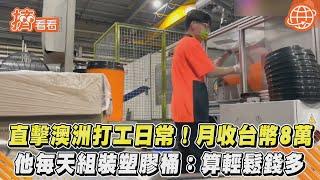 直擊澳洲打工日常!月收台幣8萬　他每天組裝塑膠桶:算輕鬆錢多｜TVBS新聞｜擠看看