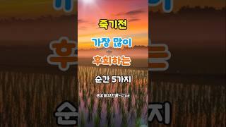 죽기전 가장 많이 후회하는 순간 5가지 #명언 #삶의지혜 #인생조언 #좋은글 #지혜 #오디오북 #죽기전후회 #인생진실 #중년조언 #지혜톡톡
