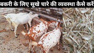 ऐसे करें बकरी के लिए सूखे चारे की व्यवस्था | Bakri ka sukha chara kahan milta hai @vnsgoatfarm