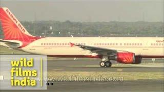 Delhi airport - a collection of planes landing one after the other!