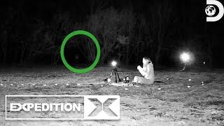 A Chilling Surprise in Dracula’s Forest | Expedition X | Discovery