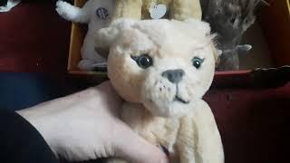 lion king live action talking plush toys