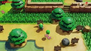 Zelda Link's Awakening Remake - Frog's Song of Soul Location