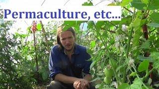 La culture sur buttes 1 : permaculture et agroécologie