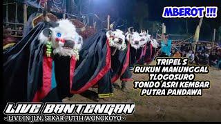 Live Bantengan Tondo Asri Kembar, Putra Pandawa, Tripel S dan grub lain || Wonokoyo