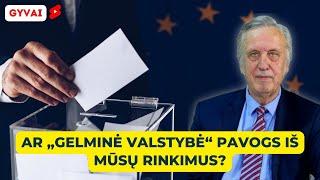 Prof. Povilas Gylys: ES ir NATO - taisom ar paleidžiam?