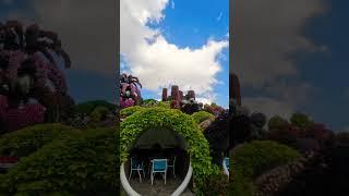 Miracle Garden Dubai #miraclegarden #miracle #trending #dubai #atravel #viral #newyear2023 #youtube