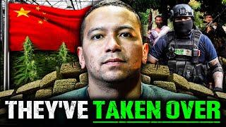 How Mexican & Chinese Drug Cartels Dominate ILLEGAL MARIJUANA Growing In America Using SLAVE Labor