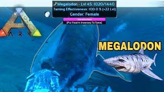 Fast Megalodon Taming Guide ||Ark Survival Evolved Tips and Tricks