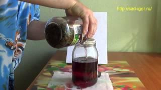 золотой ус, часть 2, настойка