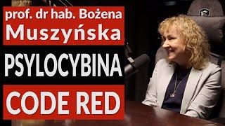 MAGICZNY ŚWIAT GRZYBÓW PROF. DR. HAB. BOŻENA MUSZYŃSKA