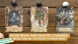 Good News and Drastic Changes! Which One Do You Want To Hear First? | Timeless Reading