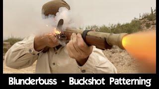 Blunderbuss - Buckshot Patterning