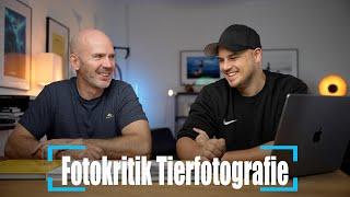 Fotokritik Tiere fotografieren mit Chris Kaula