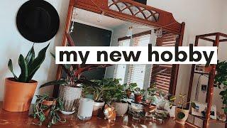 life update + plant tour