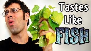 FISH MINT - This LEAF Actually Tastes Like FISH! (Review + Recipes)