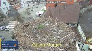 2024 11 13 Storchennest Höchstadt, Guten Morgen aus Höchstadt, 