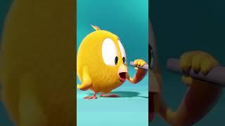 SHORTS CHICKY  CHICKY'S SONG  Where's Chicky #shorts