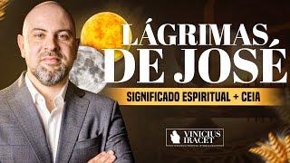 As lágrimas de José significado espiritual - Como entrar no propósito de Deus@ViniciusIracet