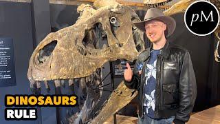 What is the definition of a fossil?  Morrison Natural History Museum Tour