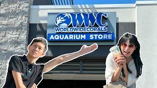 【藍箱水族】美國最強海水水族店 WorldWideCoral (winter park店) 詳細開箱全紀錄(CC) WWC aquarium tour in Orlando 奧蘭多水族館巡禮-第二彈