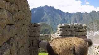 Explora Machu Picchu con Google