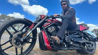 Harley Davidson v rod #riding around Wagga Wagga #1250cc